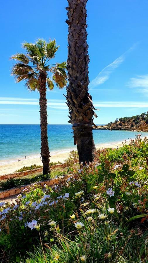 Sao Rafael Sun & Beach House Albufeira Eksteriør bilde